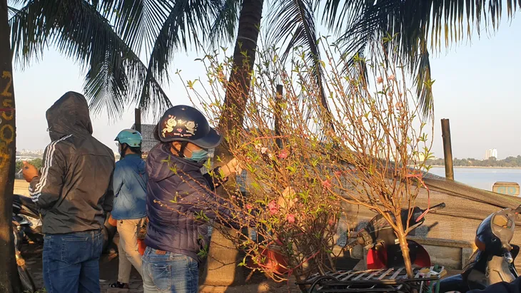 Người dân Hà Nội hối hả mang hoa về nhà trong ngày cuối của năm Âm lịch - Ảnh 10. Người dân Hà Nội hối hả mang hoa về nhà trong ngày cuối của năm Âm lịch - Ảnh 10.