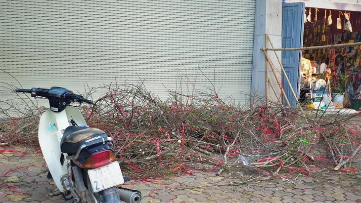 Người dân Hà Nội hối hả mang hoa về nhà trong ngày cuối của năm Âm lịch - Ảnh 18. Người dân Hà Nội hối hả mang hoa về nhà trong ngày cuối của năm Âm lịch - Ảnh 18.