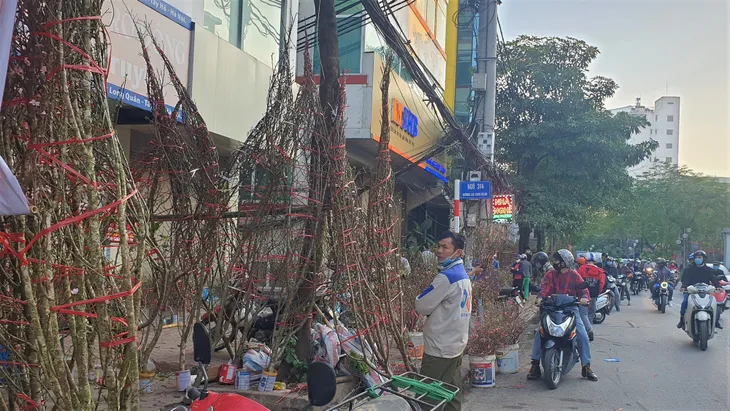 Người dân Hà Nội hối hả mang hoa về nhà trong ngày cuối của năm Âm lịch - Ảnh 17. Người dân Hà Nội hối hả mang hoa về nhà trong ngày cuối của năm Âm lịch - Ảnh 17.