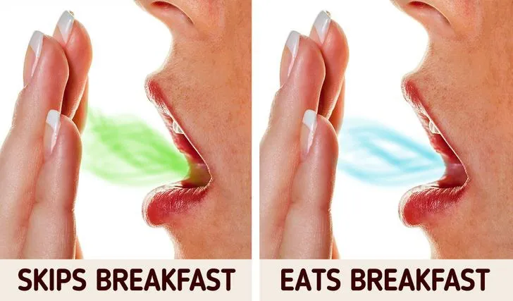 Nhịn ăn sáng ảnh hưởng đến cơ thể như thế nào? - Ảnh 10. Nhịn ăn sáng ảnh hưởng đến cơ thể như thế nào? - Ảnh 10.