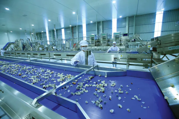FTA “mở toang” cánh cửa giúp Việt Nam hội nhập quốc tế - Ảnh 2. FTA “mở toang” cánh cửa giúp Việt Nam hội nhập quốc tế - Ảnh 2.