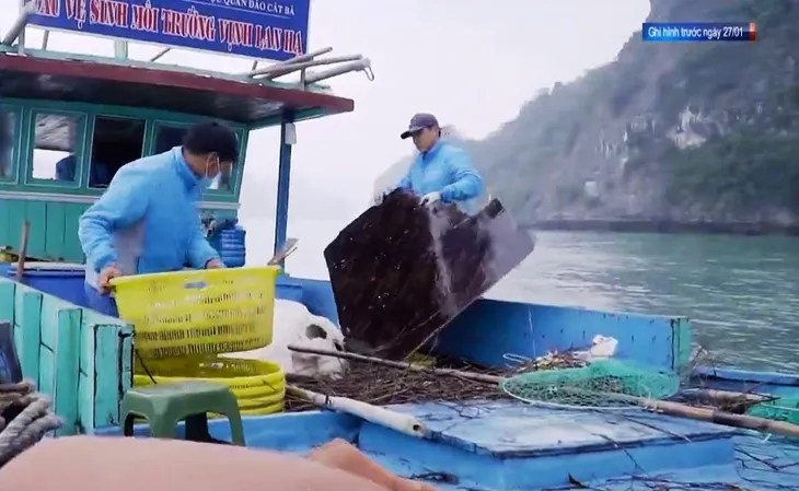Cộng đồng chung sức bảo vệ môi trường biển - Ảnh 2. Cộng đồng chung sức bảo vệ môi trường biển - Ảnh 2.
