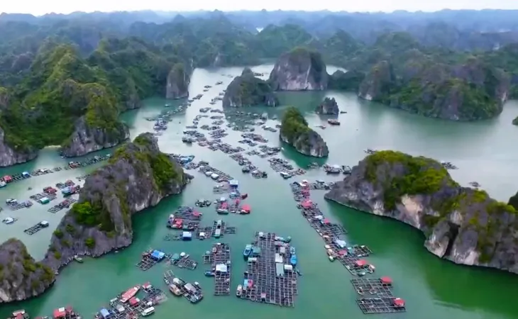Cộng đồng chung sức bảo vệ môi trường biển - Ảnh 1. Cộng đồng chung sức bảo vệ môi trường biển - Ảnh 1.