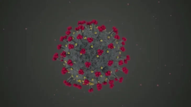 Rắc rối xung quanh việc đặt biệt danh cho các biến thể virus SARS-CoV-2 - Ảnh 1. Rắc rối xung quanh việc đặt biệt danh cho các biến thể virus SARS-CoV-2 - Ảnh 1.