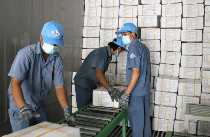Đề xuất tiếp tục gia hạn thời gian nộp 115.000 tỷ đồng thuế, tiền thuê đất: Doanh nghiệp được hỗ trợ gì? - Ảnh 3. Đề xuất tiếp tục gia hạn thời gian nộp 115.000 tỷ đồng thuế, tiền thuê đất: Doanh nghiệp được hỗ trợ gì? - Ảnh 3.