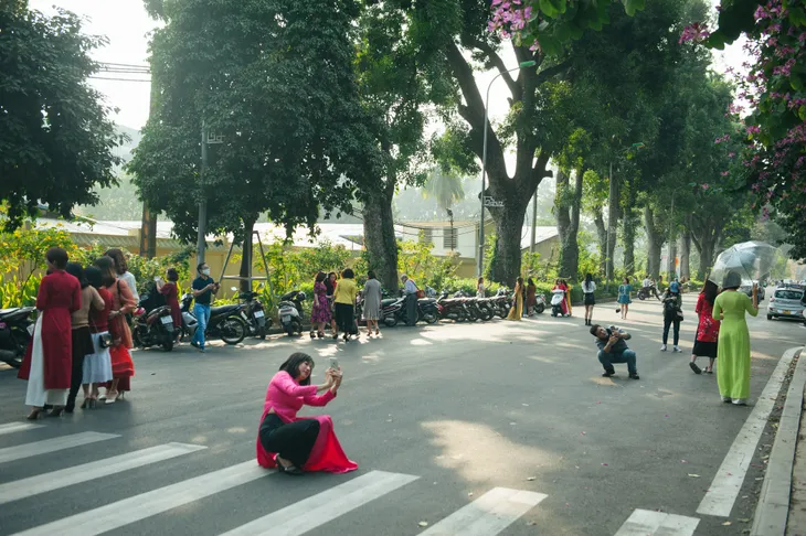 Con đường hoa ban đẹp nao lòng giữa Thủ đô - Ảnh 1. Con đường hoa ban đẹp nao lòng giữa Thủ đô - Ảnh 1.