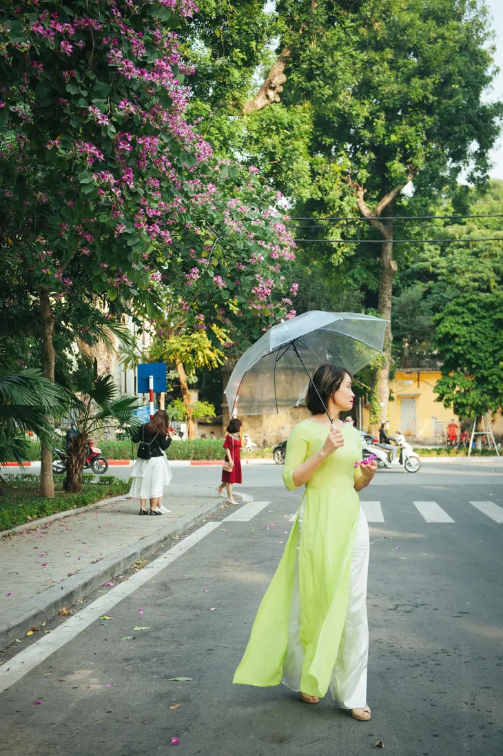 Con đường hoa ban đẹp nao lòng giữa Thủ đô - Ảnh 4. Con đường hoa ban đẹp nao lòng giữa Thủ đô - Ảnh 4.