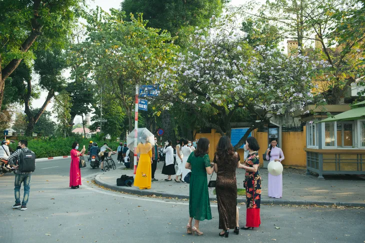 Con đường hoa ban đẹp nao lòng giữa Thủ đô - Ảnh 11. Con đường hoa ban đẹp nao lòng giữa Thủ đô - Ảnh 11.