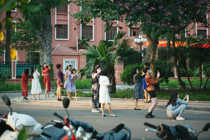 Con đường hoa ban đẹp nao lòng giữa Thủ đô - Ảnh 3. Con đường hoa ban đẹp nao lòng giữa Thủ đô - Ảnh 3.