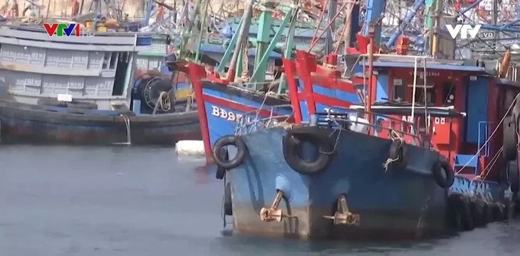 Ngư dân Đà Nẵng ra khơi - Ảnh 1. Ngư dân Đà Nẵng ra khơi - Ảnh 1.
