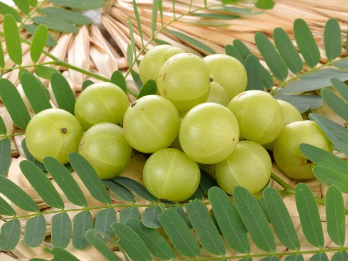 4 cách “ngụy trang” tóc bạc không cần thuốc nhuộm - Ảnh 4. 4 cách “ngụy trang” tóc bạc không cần thuốc nhuộm - Ảnh 4.