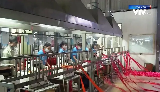 Hưng Yên: Phòng dịch gắn với phát triển kinh tế - Ảnh 4. Hưng Yên: Phòng dịch gắn với phát triển kinh tế - Ảnh 4.