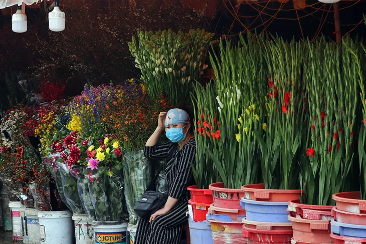 Phó Thủ tướng Vũ Đức Đam thị sát chợ hoa Tết Quảng Bá, trung tâm thương mại - Ảnh 4. Phó Thủ tướng Vũ Đức Đam thị sát chợ hoa Tết Quảng Bá, trung tâm thương mại - Ảnh 4.
