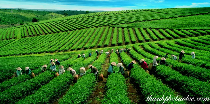 Đo hiệu quả chính sách bằng sự thịnh vượng của người dân - Ảnh 1.