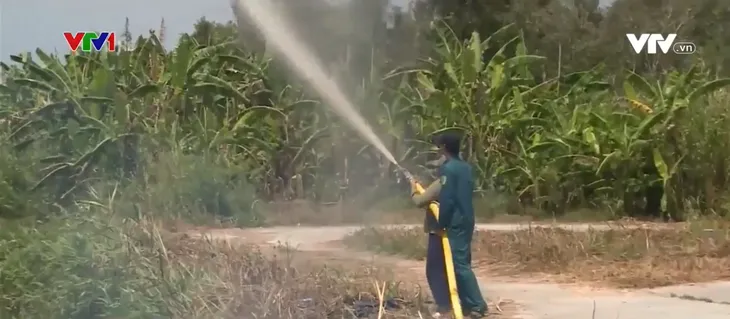 Nắng nóng kéo dài, rừng Cà Mau có thể tăng cấp độ cháy sang cấp 3, cấp 4 - Ảnh 1.