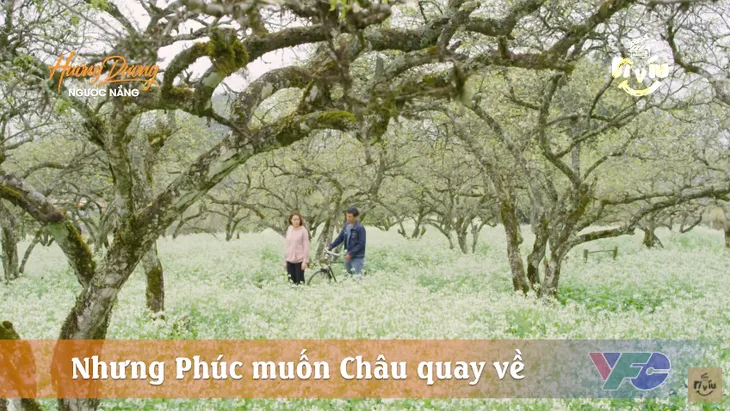 Hướng dương ngược nắng - Tập 44: Phúc muốn quay về bên Minh, Châu chợt hỏi biết đâu một ngày nào đó chúng ta thích nhau - Ảnh 2. Hướng dương ngược nắng - Tập 44: Phúc muốn quay về bên Minh, Châu chợt hỏi biết đâu một ngày nào đó chúng ta thích nhau - Ảnh 2.