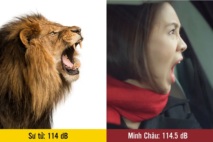 Bật cười với loạt ảnh chế Hướng dương ngược nắng từ phim bi thành phim hài - Ảnh 6. Bật cười với loạt ảnh chế Hướng dương ngược nắng từ phim bi thành phim hài - Ảnh 6.