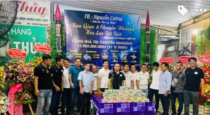 Vạch trần những chiêu trò thổi giá, trục lợi tiền tỷ từ lan đột biến - Ảnh 1. Vạch trần những chiêu trò thổi giá, trục lợi tiền tỷ từ lan đột biến - Ảnh 1.