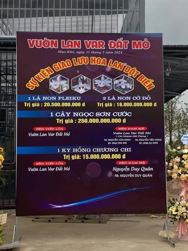 Hầu hết các giao dịch lan đột biến tiền tỷ là ảo - Ảnh 1. Hầu hết các giao dịch lan đột biến tiền tỷ là ảo - Ảnh 1.