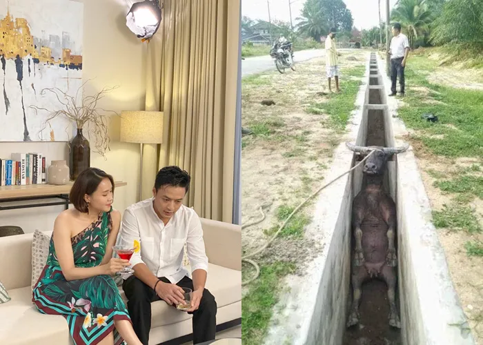 Bật cười với loạt ảnh chế Hướng dương ngược nắng từ phim bi thành phim hài - Ảnh 12. Bật cười với loạt ảnh chế Hướng dương ngược nắng từ phim bi thành phim hài - Ảnh 12.