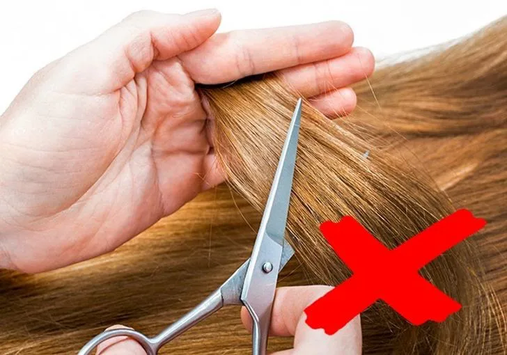 Những điều về chăm sóc tóc mà 90% chúng ta đều hiểu sai - Ảnh 1. Những điều về chăm sóc tóc mà 90% chúng ta đều hiểu sai - Ảnh 1.