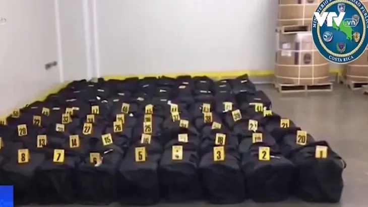 Costa Rica thu giữ hơn 3 tấn cocaine giấu trong container chở chuối - Ảnh 1. Costa Rica thu giữ hơn 3 tấn cocaine giấu trong container chở chuối - Ảnh 1.
