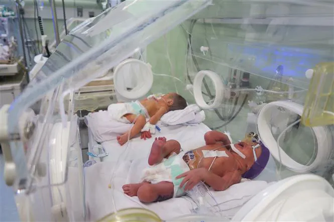 Gần như ngày nào cũng có trẻ sơ sinh bị bỏ rơi - Ảnh 4. Gần như ngày nào cũng có trẻ sơ sinh bị bỏ rơi - Ảnh 4.