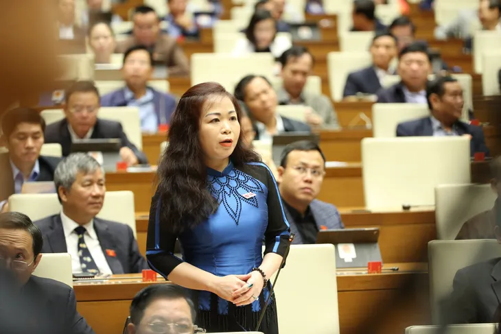 “Pháp luật không phải là công cụ thể hiện lợi ích của một nhóm nhỏ” - Ảnh 2. “Pháp luật không phải là công cụ thể hiện lợi ích của một nhóm nhỏ” - Ảnh 2.