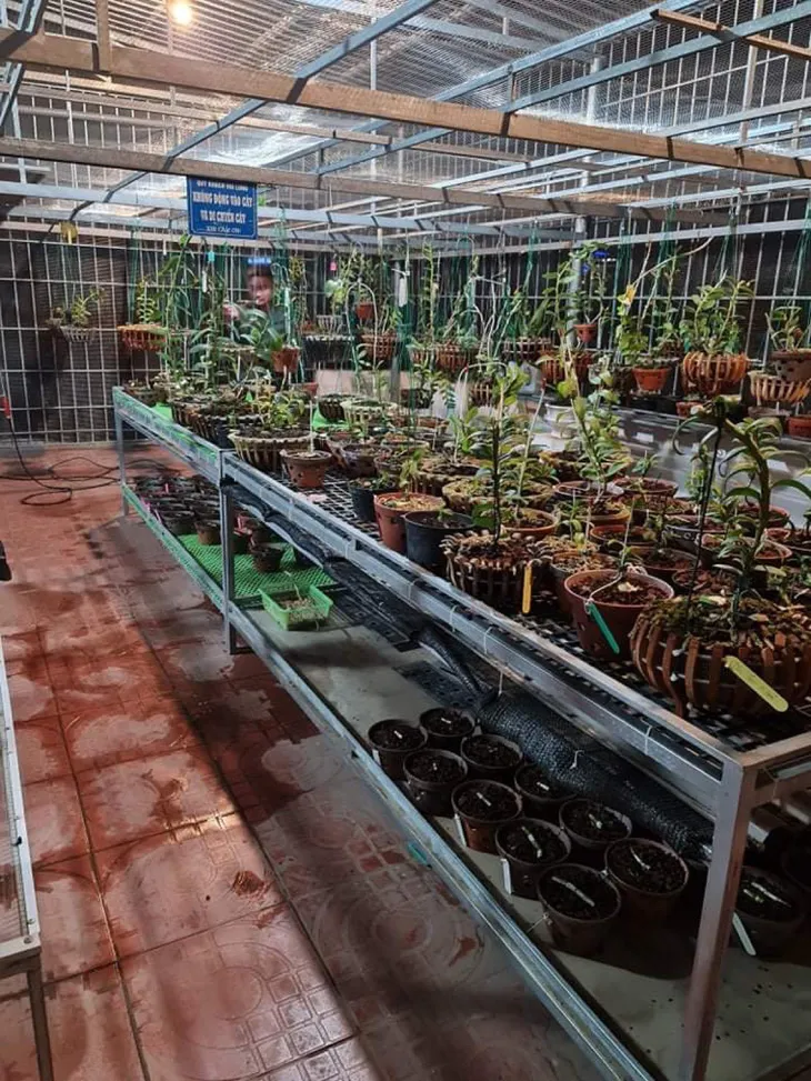 Nghệ nhân Nguyễn Văn Mạnh chia sẻ cách phòng bệnh cho lan vào mùa mưa - Ảnh 3. Nghệ nhân Nguyễn Văn Mạnh chia sẻ cách phòng bệnh cho lan vào mùa mưa - Ảnh 3.