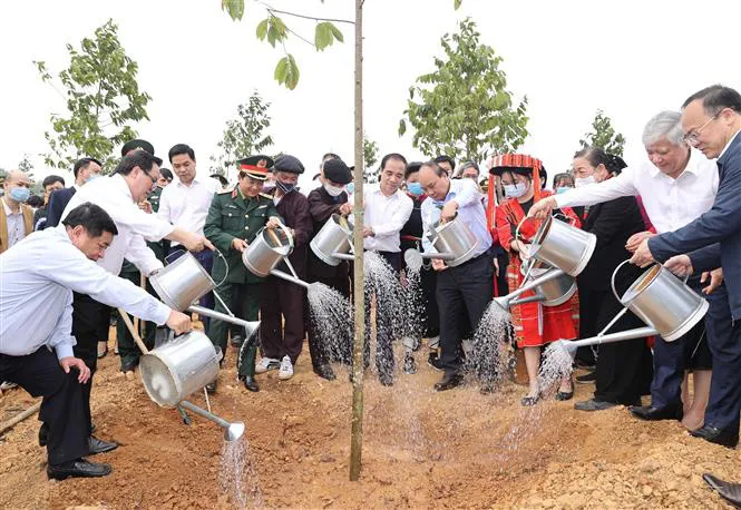 Đề án 1 tỷ cây xanh - Vì một Việt Nam xanh - Ảnh 1. Đề án 1 tỷ cây xanh - Vì một Việt Nam xanh - Ảnh 1.