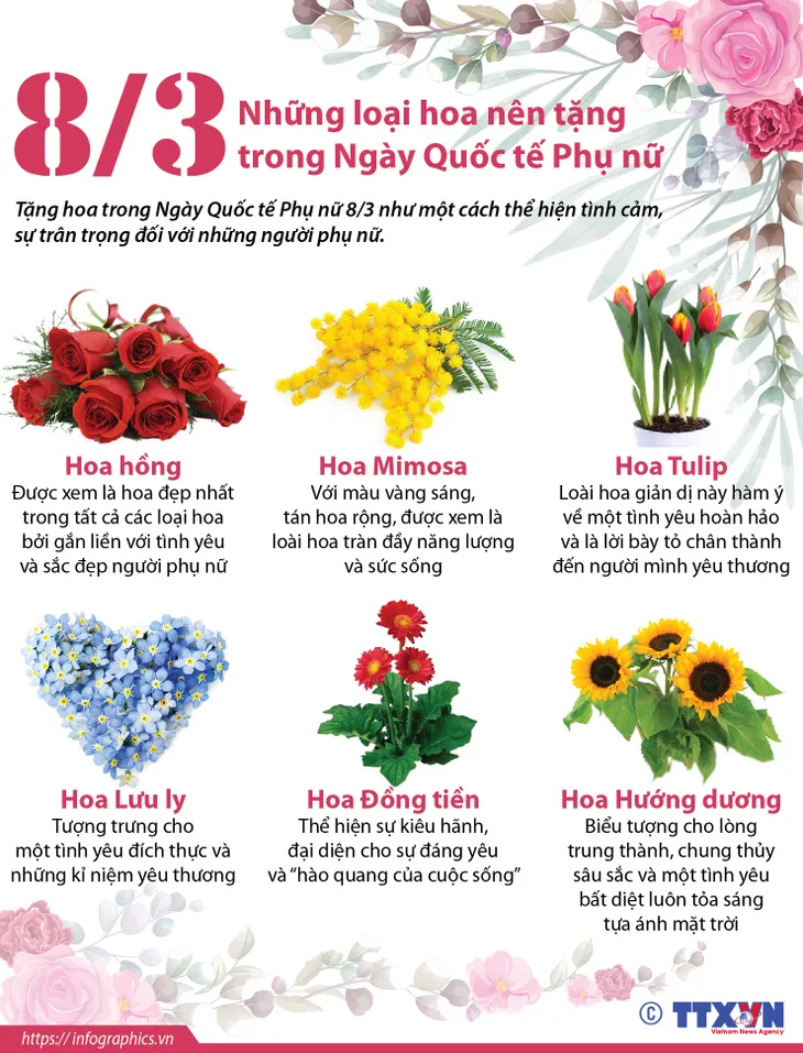 Những loại hoa nên tặng trong Ngày Quốc tế Phụ nữ 8/3 - Ảnh 1. Những loại hoa nên tặng trong Ngày Quốc tế Phụ nữ 8/3 - Ảnh 1.