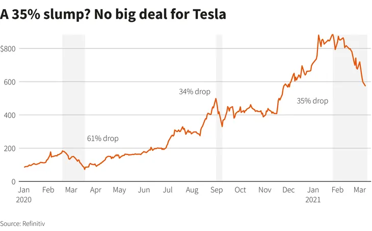Tesla mất hơn 1/3 giá trị - Ảnh 1. Tesla mất hơn 1/3 giá trị - Ảnh 1.