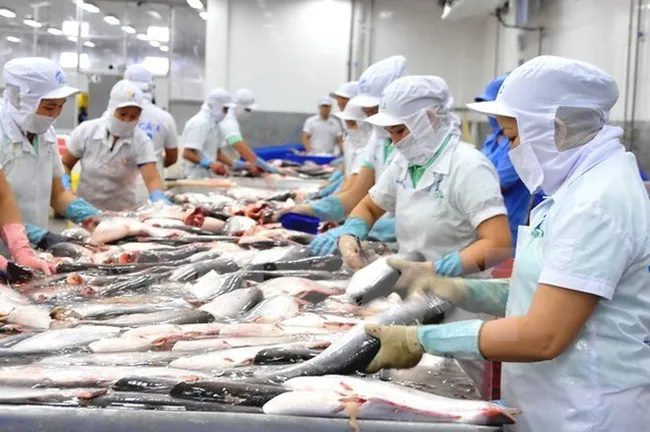 Đẩy mạnh kích cầu tiêu thụ nội địa cá tra - Ảnh 1. Đẩy mạnh kích cầu tiêu thụ nội địa cá tra - Ảnh 1.