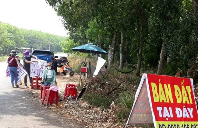 “Liều thuốc” nào cắt cơn sốt đất điên đảo từ Bắc chí Nam? - Ảnh 1. “Liều thuốc” nào cắt cơn sốt đất điên đảo từ Bắc chí Nam? - Ảnh 1.
