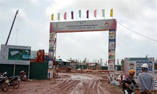 Hơn 15.000 m2 nhà xưởng đang thi công bỗng dưng đổ sập - Ảnh 1. Hơn 15.000 m2 nhà xưởng đang thi công bỗng dưng đổ sập - Ảnh 1.