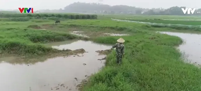 Đất chưa “sạch” đã bán đấu giá - Ảnh 1. Đất chưa “sạch” đã bán đấu giá - Ảnh 1.