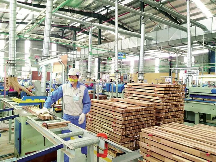 Kiểm soát tính hợp pháp của gỗ nhiệt đới nhập khẩu - Ảnh 1.