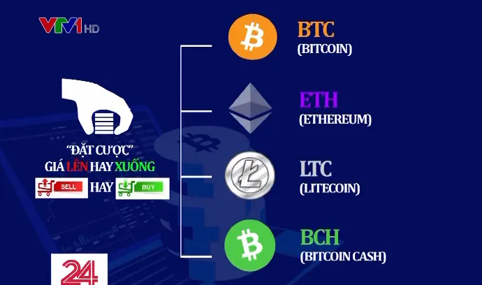 Vay ngân hàng, bán đất chơi Coolcat: Sàn giao dịch “bốc hơi”, hàng trăm người nguy cơ mất tiền tỷ - Ảnh 2. Vay ngân hàng, bán đất chơi Coolcat: Sàn giao dịch “bốc hơi”, hàng trăm người nguy cơ mất tiền tỷ - Ảnh 2.