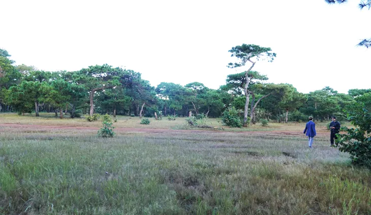 Dự án sân golf Đak Đoa có làm mất rừng hay không? - Ảnh 1. Dự án sân golf Đak Đoa có làm mất rừng hay không? - Ảnh 1.