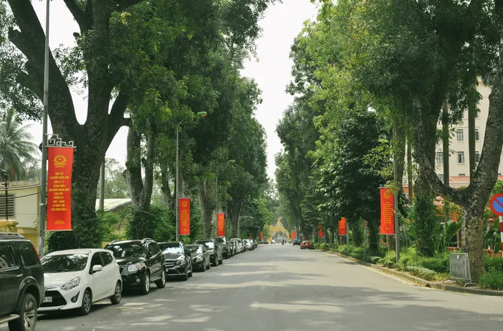 Thủ đô Hà Nội rực sắc đỏ chào mừng cuộc bầu cử Đại biểu Quốc hội và HĐND - Ảnh 7. Thủ đô Hà Nội rực sắc đỏ chào mừng cuộc bầu cử Đại biểu Quốc hội và HĐND - Ảnh 7.