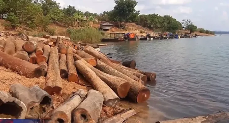 Cận cảnh bãi gỗ lậu khổng lồ dưới lòng hồ thủy điện Sê San 4 - Ảnh 1. Cận cảnh bãi gỗ lậu khổng lồ dưới lòng hồ thủy điện Sê San 4 - Ảnh 1.
