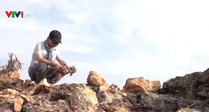 Bãi đá cổ hàng triệu năm bị đào xới tan hoang - Ảnh 1. Bãi đá cổ hàng triệu năm bị đào xới tan hoang - Ảnh 1.