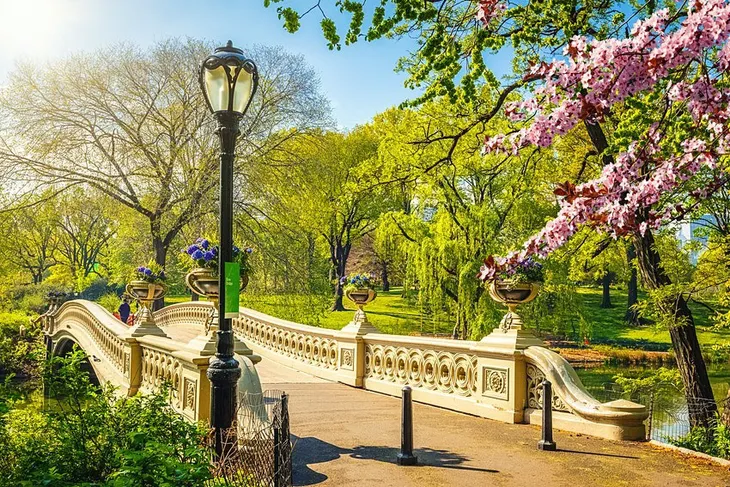 New York (Mỹ) mở cửa hoàn toàn với du khách từ tháng 7 - Ảnh 3.