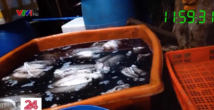 Kinh hãi công nghệ tẩy trắng mực thối bằng oxy già - Ảnh 1. Kinh hãi công nghệ tẩy trắng mực thối bằng oxy già - Ảnh 1.