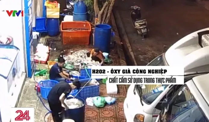 Kinh hãi công nghệ tẩy trắng mực thối bằng oxy già - Ảnh 5. Kinh hãi công nghệ tẩy trắng mực thối bằng oxy già - Ảnh 5.