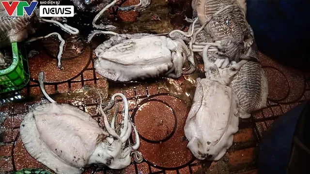 Vạch trần chiêu trò dùng hóa chất công nghiệp tẩy trắng mực “bẩn” ngay giữa Hà Nội - Ảnh 4. Vạch trần chiêu trò dùng hóa chất công nghiệp tẩy trắng mực “bẩn” ngay giữa Hà Nội - Ảnh 4.