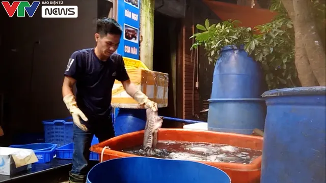 Mực thối tẩy trắng vào nhà hàng ở chợ Long Biên: Lỗ hổng chết người ở đâu? - Ảnh 3. Mực thối tẩy trắng vào nhà hàng ở chợ Long Biên: Lỗ hổng chết người ở đâu? - Ảnh 3.