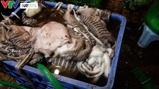 Mực thối tẩy trắng vào nhà hàng ở chợ Long Biên: Lỗ hổng chết người ở đâu? - Ảnh 1. Mực thối tẩy trắng vào nhà hàng ở chợ Long Biên: Lỗ hổng chết người ở đâu? - Ảnh 1.