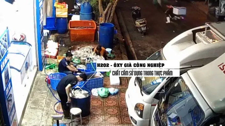 Chuyển động 24h lật tẩy công nghệ tẩy trắng mực thối bằng hóa chất - Ảnh 2. Chuyển động 24h lật tẩy công nghệ tẩy trắng mực thối bằng hóa chất - Ảnh 2.