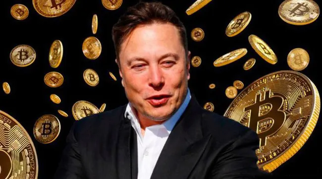 Elon Musk mất ngôi giàu số 2 thế giới - Ảnh 2. Elon Musk mất ngôi giàu số 2 thế giới - Ảnh 2.